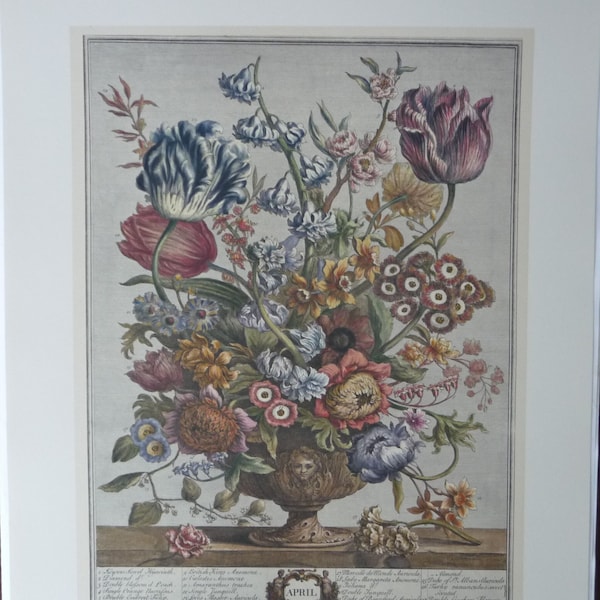 APRIL FLOWERS Large Vintage Art Print, 12 Months of Flowers, Furber, Fletcher, 1700s Botanical Study, Wedding Anniversary Gift  20.75 x15.5"