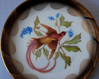 rare 1920s Rudolf Wachter Porcelain Bird Plate - Black Gold Trim Lunch Dessert Plate- Pink Yellow Blue Green Bird - Bavaria-  #7969 - 7 3/4"