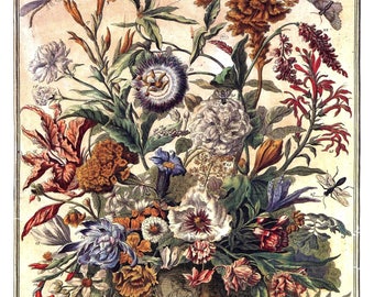 Large Vintage SEPTEMBER FLOWERS Print- 1700s Botanical Art- John Bowles- Winterthur Museum- Birth Month Flowers- Wedding Gift Idea 14 x 19"