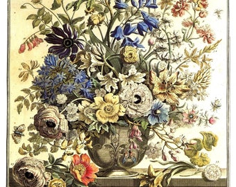 Large Vintage MAY FLOWERS Print- Winterthur Museum- 1700s Botanical Art- John Bowles Birth Month Flowers- Wedding Anniversary Gift- 14 x 19"