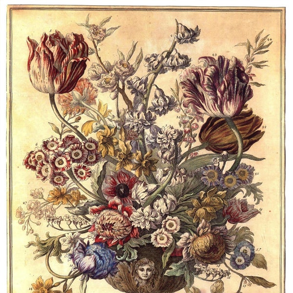 Large Vintage APRIL FLOWERS Print- 1700s Birth Month Flowers- John Bowles Botanical Wall Art- Winterthur Museum- Wedding Anniversary 14 x 19