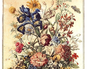 Large Vintage JUNE FLOWERS Litho, John Bowles 1700s Botanical Art Print, Winterthur, Birth Month Flowers, Wedding Anniversary Gift, 14 x 19"