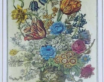 Complete Set Small Vintage 12 BIRTH MONTH FLOWERS Prints, 1700s Botanical Wall Art, John Bowles, Winterthur Museum, Wedding Gift, 7.75 x 10