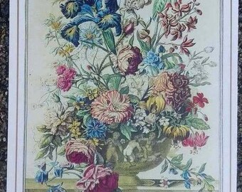 Pequeña lámina artística de Winterthur, FLORES DE JUNIO, John Bowles FLORA, ilustración botánica de mariposas e insectos del siglo XVIII, regalo de cumpleaños o boda, 8 x 10