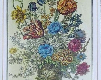 Small Vintage MARCH FLOWERS Art Print, Birth Month Flowers, Bowles, Winterthur, Gallery Wall, Home Decor, Wedding Anniversary Gift 7.75 x 10