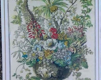 Pequeña lámina artística Winterthur FLORES DE DICIEMBRE, John Bowles FLORA, ilustración botánica de mariposas del siglo XVIII, regalo de cumpleaños o aniversario, 8x10