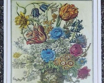 Petite impression d'art vintage FLEURS DE MARS, fleurs du mois de naissance, Bowles, Winterthur, mur de la galerie, cadeau spécial d'anniversaire de mariage, 7,75 x 10