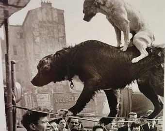 Vintage Art Print 1950s Paris Scene, BW Street Photography 'Two Dog Acrobats, Rue Mouffetard', Black White Photo, Gallery Wall Art, 9 x 12"