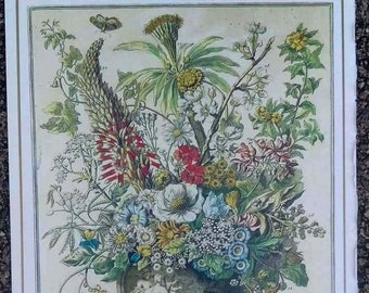 Small Vintage DECEMBER FLOWERS Art Print, 1700s Botanical Study, Bowles, Winterthur, Birth Month Flowers, December Wedding Gift, 7.75 x 10"