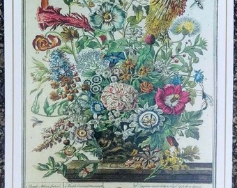 Petite impression vintage de fleurs d'août, fleurs du mois de naissance, art botanique des années 1700, John Bowles, Winterthur, cadeau d'anniversaire de mariage, 7,75 x 10 po