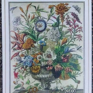 A neoclassical urn filled with a colorful arrangement of Septembers flowers against a creamy beige ground. Below the urn is the word September encircled in a wreath with the Latin names of the flowers on both sides. White borders.