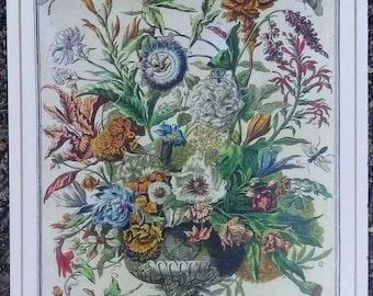 Small Winterthur SEPTEMBER FLOWERS Print, John Bowles FLORA 1700s Botanical Illustration Butterfly Floral Art, Birthday Wedding Gift, 8 x 10
