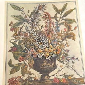 Large Vintage Furber January Flowers Print, 12 Months of Flowers, Colonial Williamsburg Botanical Wall Art, Birthday or Wedding Gift, 16x21