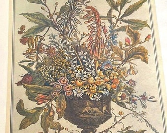 January Vintage Botanical Floral Art Print Winterthurs 12 Months