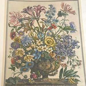 Large Vintage October Flowers Litho, Rob Furber, 12 Month of Flowers Print, 1700s Botanical, Colonial Williamsburg, Wedding Gift, 15.5 x 21&quot;