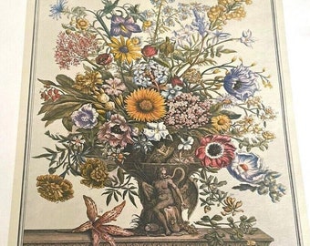 Lámina grande vintage de flores de noviembre, 12 meses de flores, Furber, arte mural botánico de Colonial Williamsburg del siglo XVIII, regalo de boda, 16 x 21