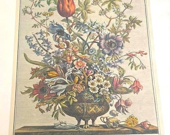 Large Vintage Furber February Flowers Print, 12 Months of Flowers, Colonial Williamsburg 1700s Botanical Art Wall Decor, Wedding Gift, 16x21