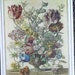 see more listings in the WINTERTHUR FLOWER Lithos section