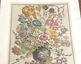 Large Vintage Furber March Flowers Print, 12 Month of Flowers, Colonial Williamsburg 1700s Botanical Art Study, Keepsake Wedding Gift, 16x21