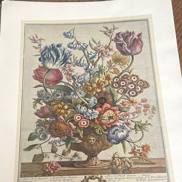 Large Vintage April Flowers Art Print, 1700s Botanical Study, Furber's 12 Months of Flowers, Special Wedding Anniversary Gift, 15.5 x 21"