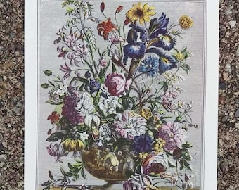 June Flowers Vintage Art Print- Botanical Illustration 1700s- 12 MONTHS OF FLOWERS- Furber's Seed Catalog- Wedding Anniversary Gift- 7 x 10"