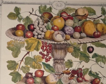 Vintage JUNE FRUIT Lithograph, 12 Months of Fruit, 1700s Botanical Study, Colonial Williamsburg, Kitchen Dining Room Wall Art 15.5 x 20.75"