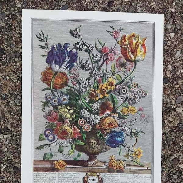 Small Vintage APRIL FLOWERS Art Print, 12 Months of Flowers, Furber, 1700s Botanical Illustration, Unique Wedding Anniversary Gift, 7 x 10"