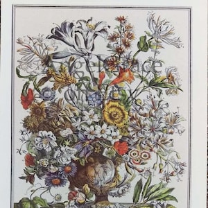 Small Vintage OCTOBER FLOWERS Art Print, 12 Months of Flowers, Rob Furber, Colonial Williamsburg, Birthday, Wedding Anniversary Gift, 7 x 10