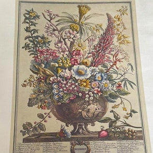 Large Vintage December Flowers Art Print, 12 Months of Flowers, Furber,  Botanical, Colonial Williamsburg, Wedding Keepsake Gift, 15.5x21