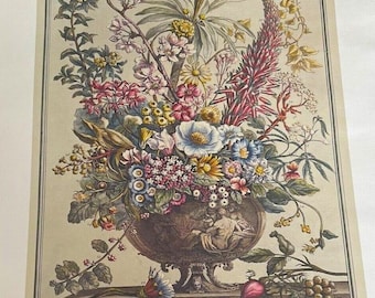 Large Vintage Furber December Flowers Print, 12 Months of Flowers, 1700s Colonial Williamsburg Botanical Art, Birthday or Wedding Gift 16x21