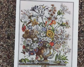 Small Vintage OCTOBER FLOWERS Art Print, 1700s Botanical Study, 12 Months of Flowers by Furber, Special Wedding Anniversary Gift, 7 x 10