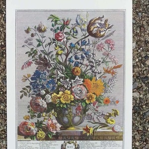 Small Vintage MAY FLOWERS Art Print, 12 Months of Flowers, Furber Colonial Williamsburg, 1700s Floral Study, Wedding Anniversary Gift 7 x 10