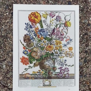 Botanical illustration of a neoclassical urn filled with a colorful arrangement of Marches blooming flowers. Below the urn is the word March encircled in a wreath with the Latin names of the flowers on both sides. Off-white borders.