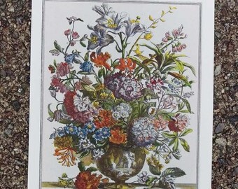 Small Vintage JULY FLOWERS Art Print, 12 Months of Flowers, Rob Furber, 1700s Botanical Study, Special Wedding Anniversary Gift, 7 x 10"