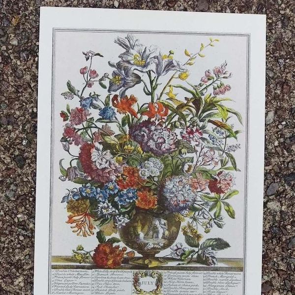 Small Vintage JULY FLOWERS Art Print, 12 Months of Flowers, Rob Furber, 1700s Botanical Study, Special Wedding Anniversary Gift, 7 x 10"