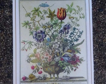 Complete Set Small Vintage 12 BIRTH MONTH FLOWERS Prints, 1700s Botanical Wall Art, John Bowles, Winterthur Museum, Wedding Gift, 7.75 x 10