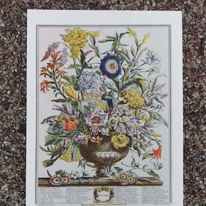 Small Vintage SEPTEMBER FLOWERS Print, 12 Months of Flowers, Rob Furber, H Fletcher, Colonial Williamsburg, Wedding Anniversary Gift, 7 x 10 画像 1