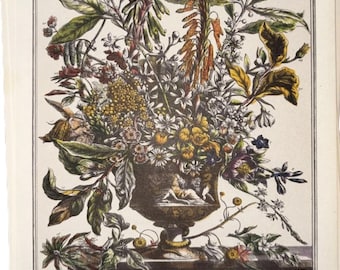 Small 1940s Furber JANUARY FLOWERS Print, 12 Twelve Months of Flowers, Colonial Williamsburg Botanical Art, Birthday Anniversary Gift,7 x 10
