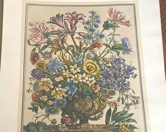 Large Vintage October Flowers Art Print- 1700s Botanical Illustration- 12 Month of Flowers Furber - Williamsburg - Wedding Gift - 15.5 x 21"