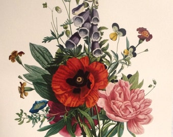 Vintage JUNI BOEKET Art Print, 1700 Franse botanische studie, rode papaver, roze pioen, paarse vingerhoedskruid, bloem wand decor, Prevost, 10 x 14"