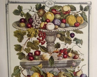 Vintage AUTUMN FRUIT Art Print, 1700s Botanical Study, Still Life Fruit Arrangement, Kitchen Wall Art Hanging, Dining Room Decor 10x14"