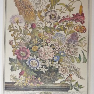 May include: A vintage botanical illustration depicting a bouquet of colorful flowers in bloom. The flowers are arranged in a vase and include a variety of species, such as lilies, roses, and daisies. The illustration is labeled with the month of August and the names of the flowers in Latin and English.