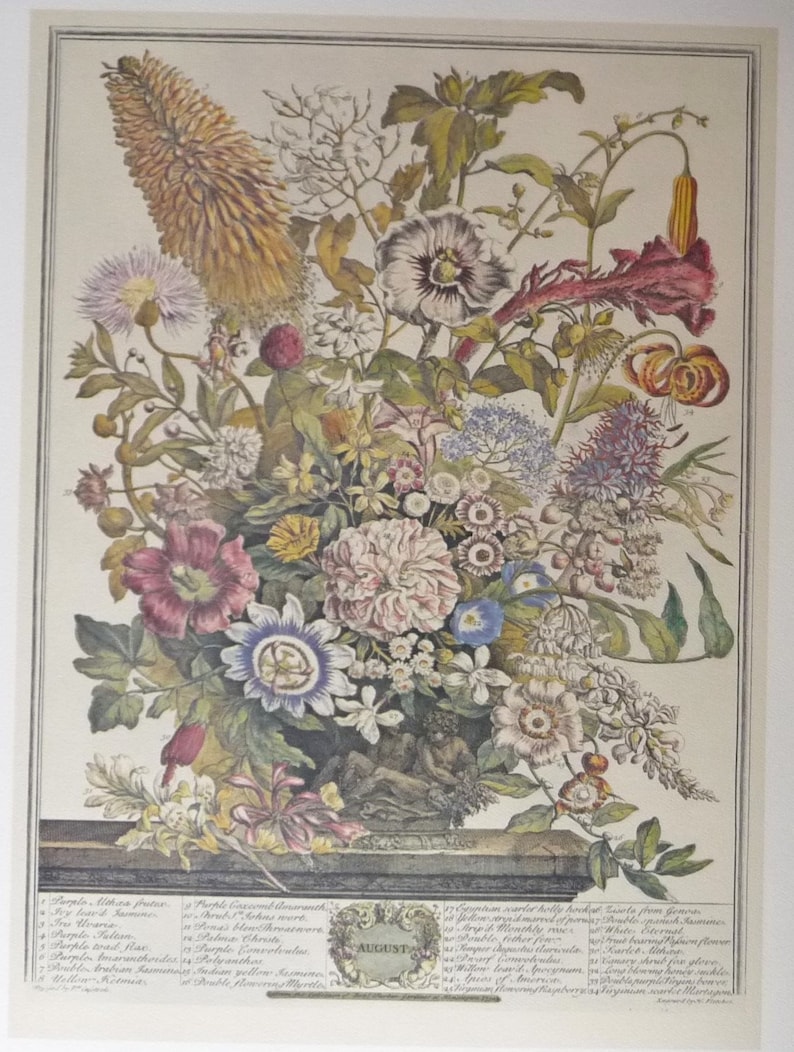 May include: A vintage botanical illustration depicting a bouquet of colorful flowers in bloom. The flowers are arranged in a vase and include a variety of species, such as lilies, roses, and daisies. The illustration is labeled with the month of August and the names of the flowers in Latin and English.