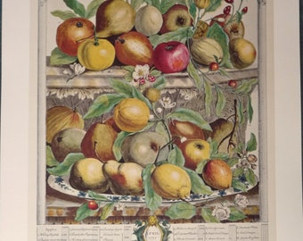 Vintage APRIL FRUIT Art Print, 12 Months of Fruit, 1700s Botanical Study, Kitchen Wall Art, Dining Room Decor 15.5 x 20.75"