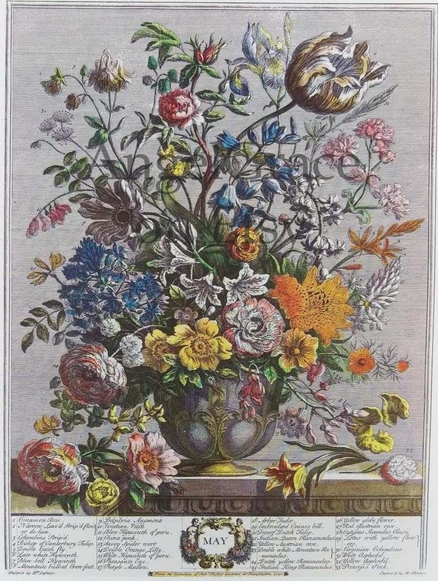 Small Vintage MAY FLOWERS Art Print, 12 Months of Flowers, Furber