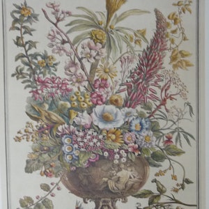 DECEMBER FLOWERS Large Vintage Art Print, Botanical Illustration, 12 Months of Flowers Furber, Williamsburg, Wedding Anniversary 20.75x15.5 image 3