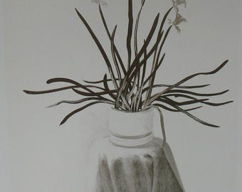 Vintage David Hockney Print Amaryllis in Vase, Moving Focus, Red