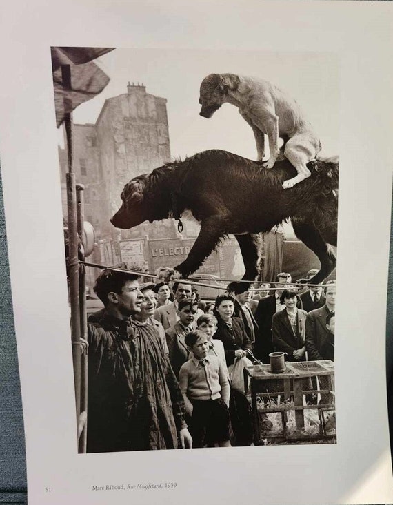 Vintage Marc Riboud 2 Dog Acrobates Photo Print, 1950s Rue 