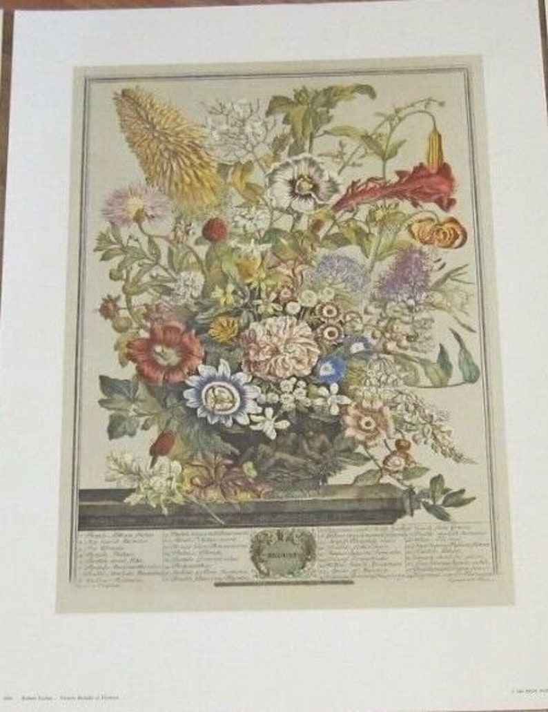 May include: A vintage botanical illustration of a bouquet of flowers in a vase. The flowers are in shades of pink, red, yellow, white, and blue. The illustration is surrounded by a border of text.