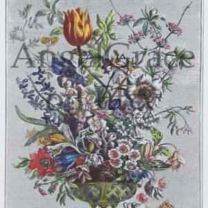 Puede incluir: Una ilustraci&oacute;n bot&aacute;nica vintage de un ramo de flores en un jarr&oacute;n verde y dorado. Las flores incluyen tulipanes, an&eacute;monas y otras flores silvestres. La ilustraci&oacute;n est&aacute; realizada en un estilo detallado y realista.
